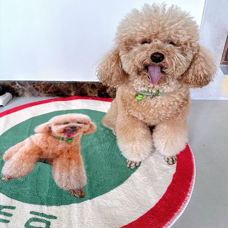 寵物地毯 详情图